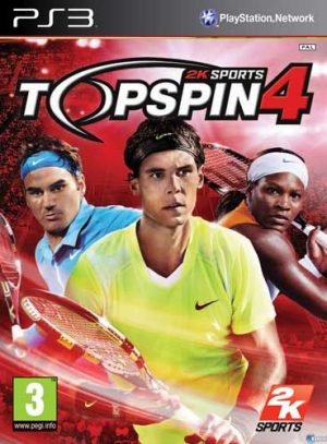 Top Spin 4