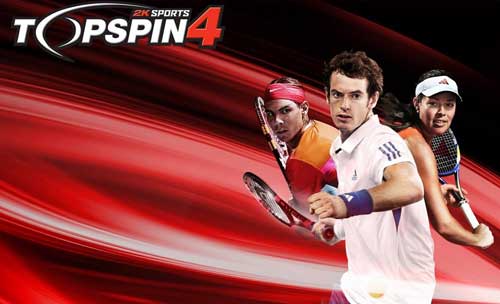 Top Spin 4