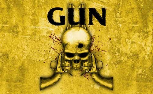 Gun