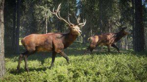 خرید بازی Hunting Simulator - شبیه ساز شکار برای PC کامپیوتر